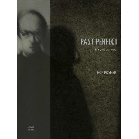 Igor Posner - Past Perfect Continuous